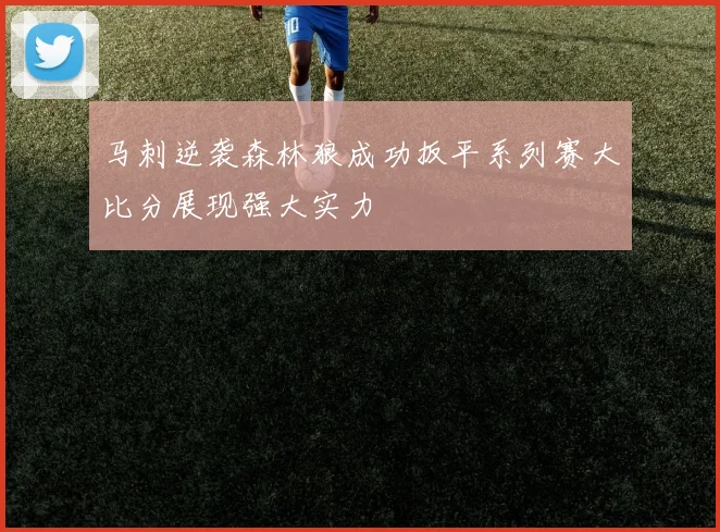 马刺逆袭森林狼成功扳平系列赛大比分展现强大实力